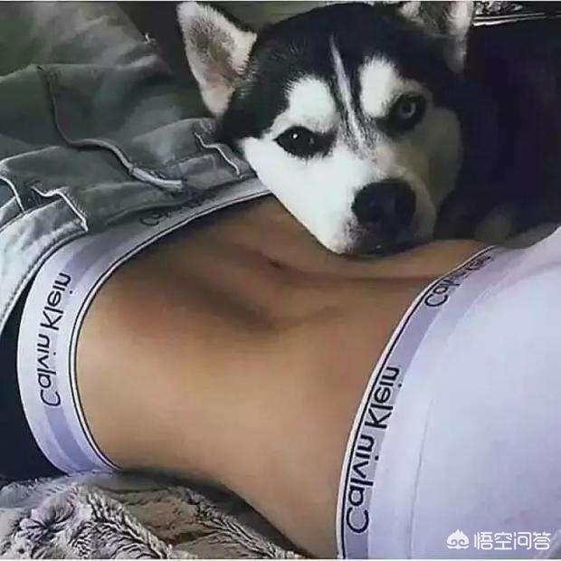 肚子减肥最有效方法（肚子减肥最有效方法一周见效）
