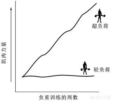 引体向上怎么练（大体重引体向上怎么练）