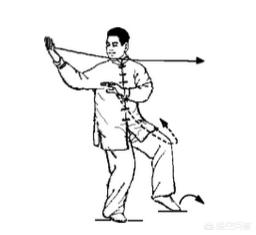 太极拳24式慢动作视频（养生太极拳24式慢动作视频）