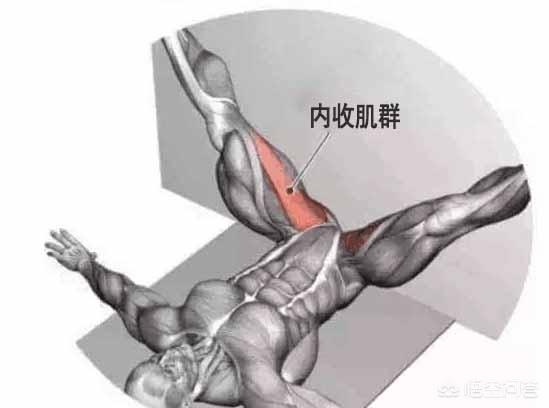 腿部减肥瑜伽（减腿的瑜伽视频教程）