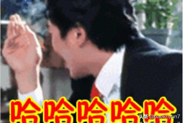 搞笑视频大全 爆笑（狗狗搞笑视频大全 爆笑）