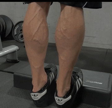 小腿肌肉怎么减（小腿肌肉怎么减肥）