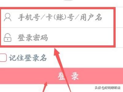中国工商银行网上银行余额查询