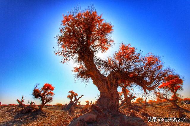 十一旅游线路（十一旅游线路推文范本）