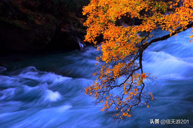 十一旅游线路（十一旅游线路推文范本）