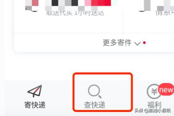 顺丰单号查询单号查询（顺丰单号查询快速查询）