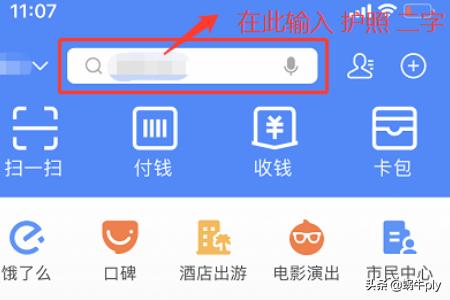 网上预约护照办理官网（预约办护照网上预办）